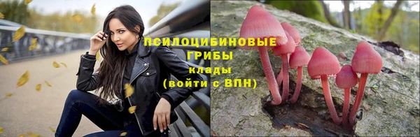 амф Абаза