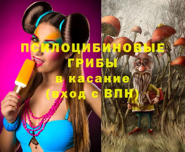 амф Абаза