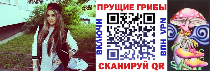 Галлюциногенные грибы Cubensis Руза